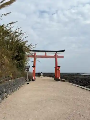 青島神社（青島神宮）の{uncategorized: "未分類", other: "その他", undefined: "問題あり", building: "その他建物", grave: "お墓", sacred_gate: "鳥居", guardian: "狛犬", statue: "像", buddha: "仏像", history: "歴史", nature: "自然", garden: "庭園", animal: "動物", pagoda: "塔", temizu: "手水舎", mountain_gate: "山門・神門", sanctuary: "本殿・本堂", subordinate: "末社・摂社", art: "芸術", scenery: "景色", jizo: "地蔵", ema: "絵馬", goshuin: "御朱印", omikuji: "おみくじ", items: "授与品その他", amulet: "お守り", goshuincho: "御朱印帳", eats: "食事", festival: "お祭り", votive_dance: "神楽", shichigosan: "七五三参", wedding: "結婚式", experience: "体験その他", initially: "初詣", around: "周辺", anti_infection: "感染症対策"}