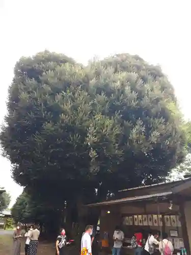 星宮神社のその他建物