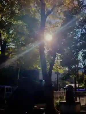 穏田神社(東京都)