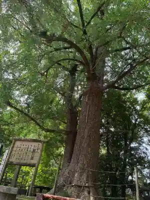 生目神社(宮崎県)