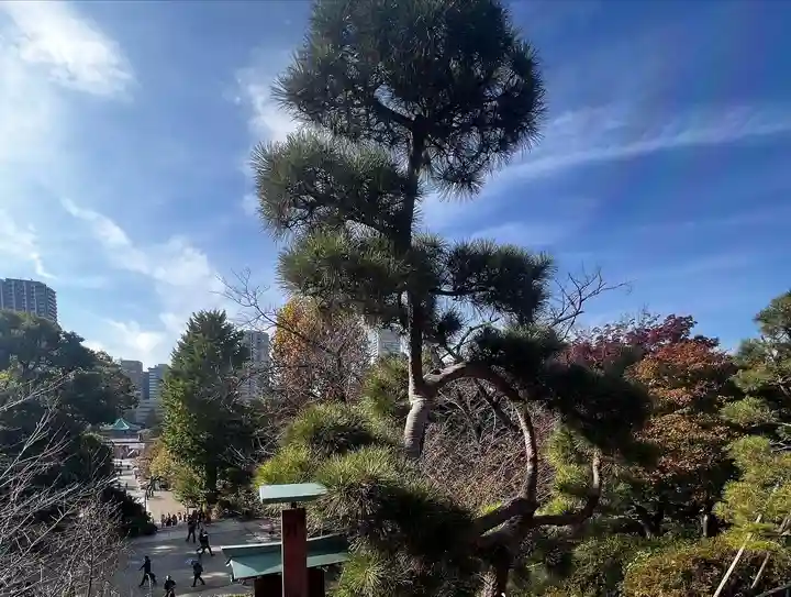 清水観音堂(東京都)