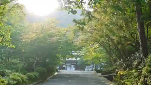 南禅寺の建物その他