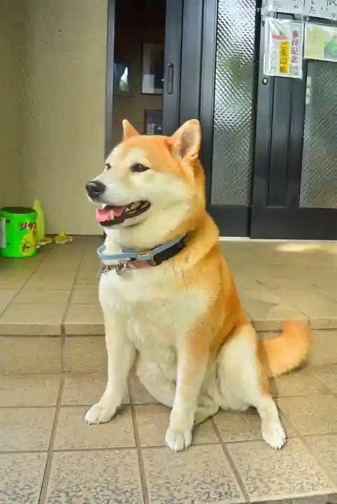 笠䅣稲荷神社(神奈川県)