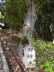 白鬚神社(埼玉県)