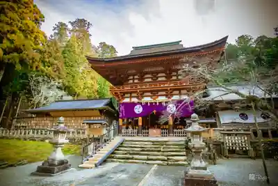 丹生都比売神社(和歌山県)