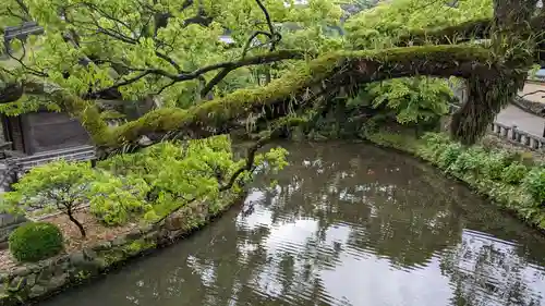 太宰府天満宮の庭園