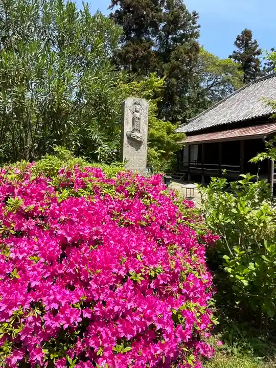 矢田寺(奈良県)