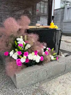 上尾御嶽神社の手水舎