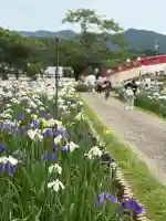 賀茂神社(愛知県)