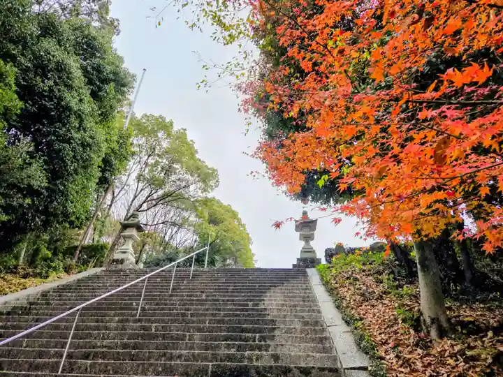 多家神社(広島県)
