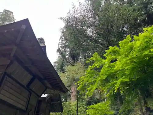 大宮温泉神社(栃木県)