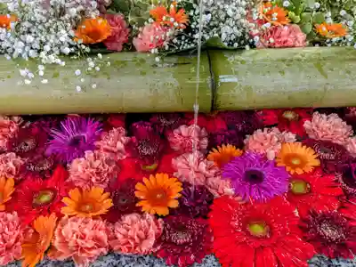 白山神社(新潟県)