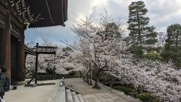 知恩院(京都府)