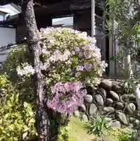 西方山極楽寺の自然