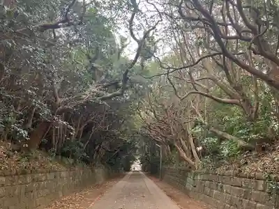 酒列磯前神社(茨城県)