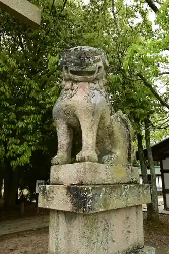 大山祇神社の狛犬