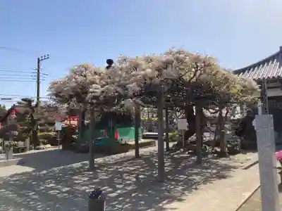 等覚院（藤巻寺）(神奈川県)
