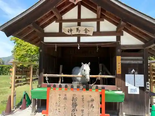 賀茂別雷神社（上賀茂神社）の動物