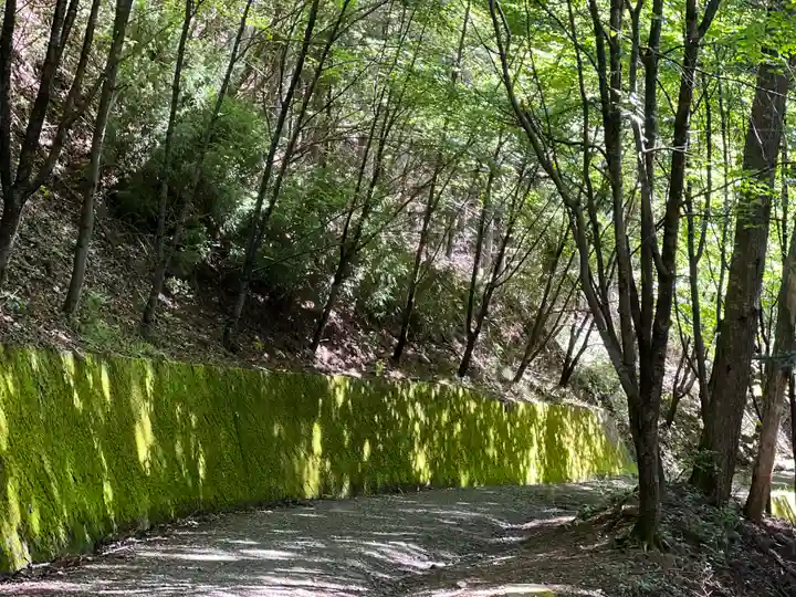 母の白滝神社の周辺