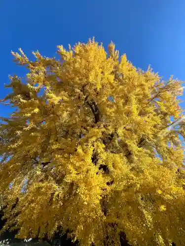 丹生酒殿神社(和歌山県)