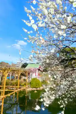 亀戸天神社(東京都)