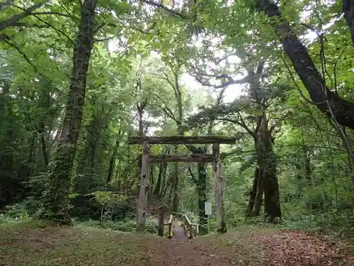 来運神社の鳥居