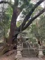 豊浦神社(三重県)