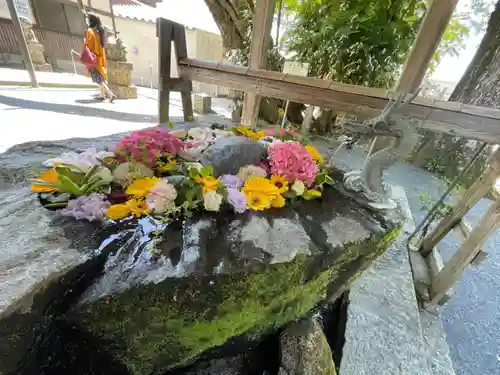 飛龍八幡宮の手水舎