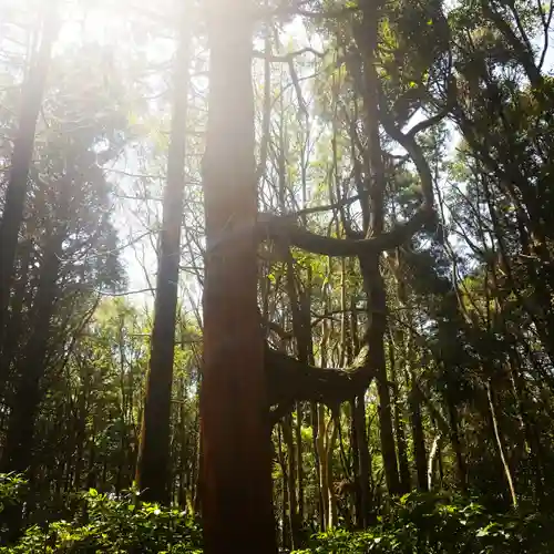 鹿島神宮の自然