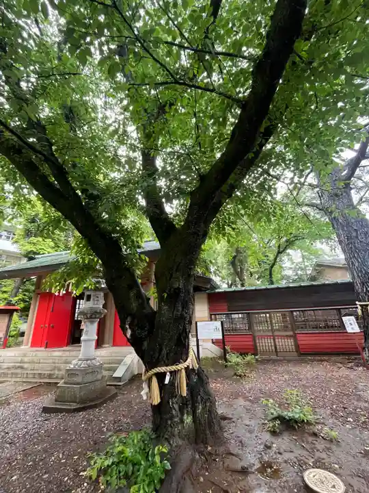 前原御嶽神社(千葉県)