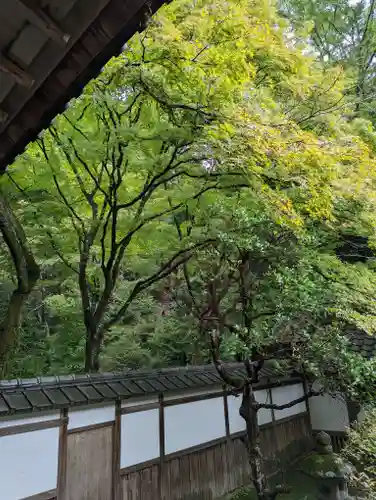 毘沙門堂門跡(京都府)