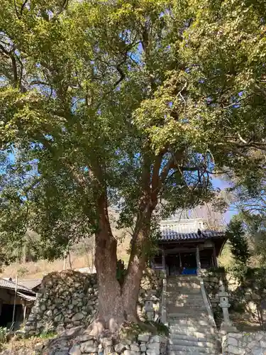 濱宮神社の景色