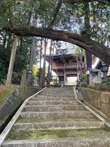 寳光寺　鹿野大佛(東京都)