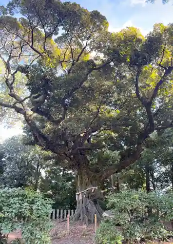 新日吉神宮(京都府)