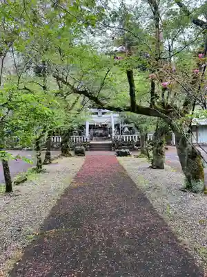 天鷹神社(岐阜県)