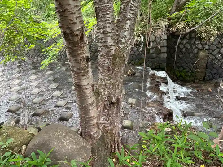 藤乃稲荷神社(栃木県)