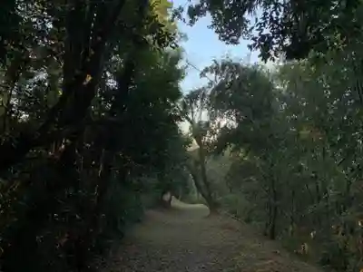 丸山神社(千葉県)