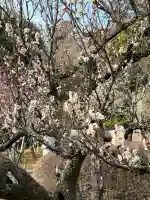 成田山醫王殿の{uncategorized: "未分類", other: "その他", undefined: "問題あり", building: "その他建物", grave: "お墓", sacred_gate: "鳥居", guardian: "狛犬", statue: "像", buddha: "仏像", history: "歴史", nature: "自然", garden: "庭園", animal: "動物", pagoda: "塔", temizu: "手水舎", mountain_gate: "山門・神門", sanctuary: "本殿・本堂", subordinate: "末社・摂社", art: "芸術", scenery: "景色", jizo: "地蔵", ema: "絵馬", goshuin: "御朱印", omikuji: "おみくじ", items: "授与品その他", amulet: "お守り", goshuincho: "御朱印帳", eats: "食事", festival: "お祭り", votive_dance: "神楽", shichigosan: "七五三参", wedding: "結婚式", experience: "体験その他", initially: "初詣", around: "周辺", anti_infection: "感染症対策"}