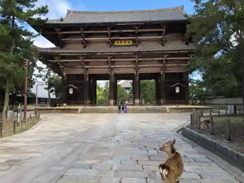 東大寺の山門