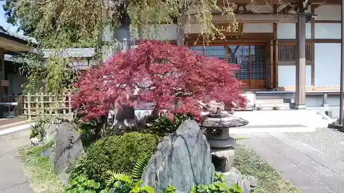 長勝寺の庭園