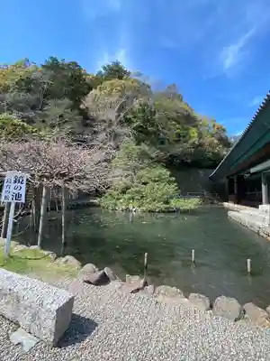 出雲大社(島根県)