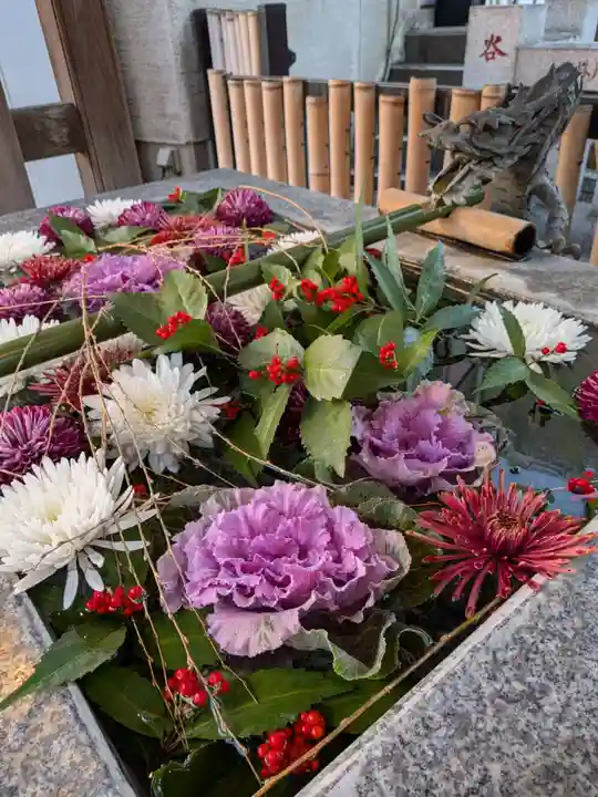 高円寺氷川神社(東京都)