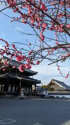 興正寺(京都府)