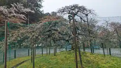 大原野神社(京都府)