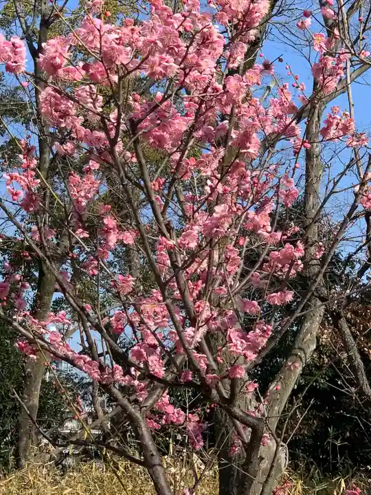 意賀美神社(大阪府)