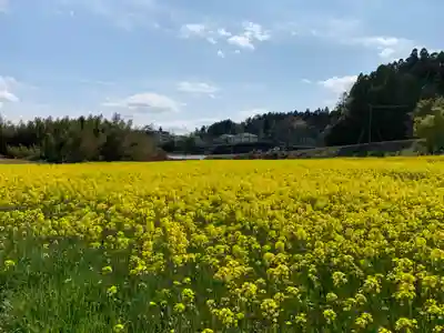 白山神社の周辺