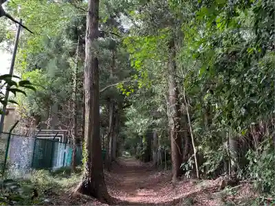柏田神社(茨城県)