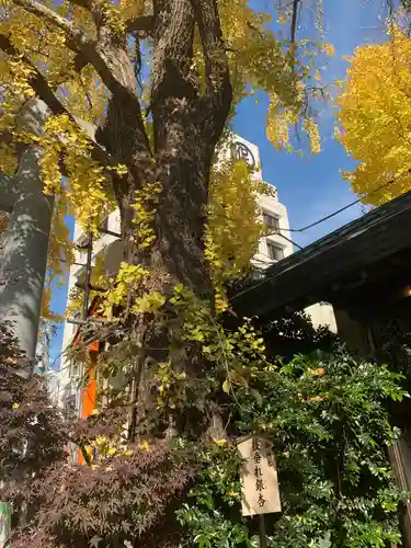 波除神社（波除稲荷神社）のその他建物