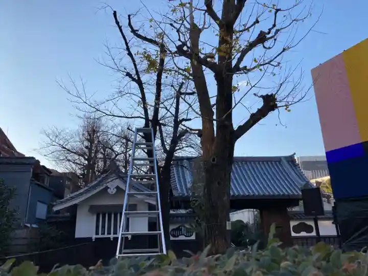 浅草寺のその他建物