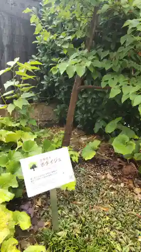 宝勝院の自然